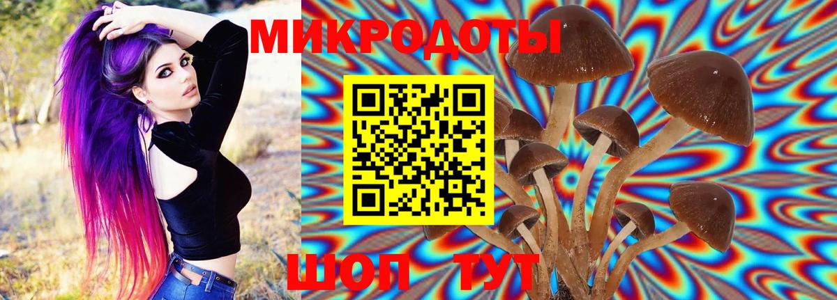 Псилоцибиновые грибы MAGIC MUSHROOMS  Вход с VPN  Галлюциногенные грибы мухоморы  Саров 