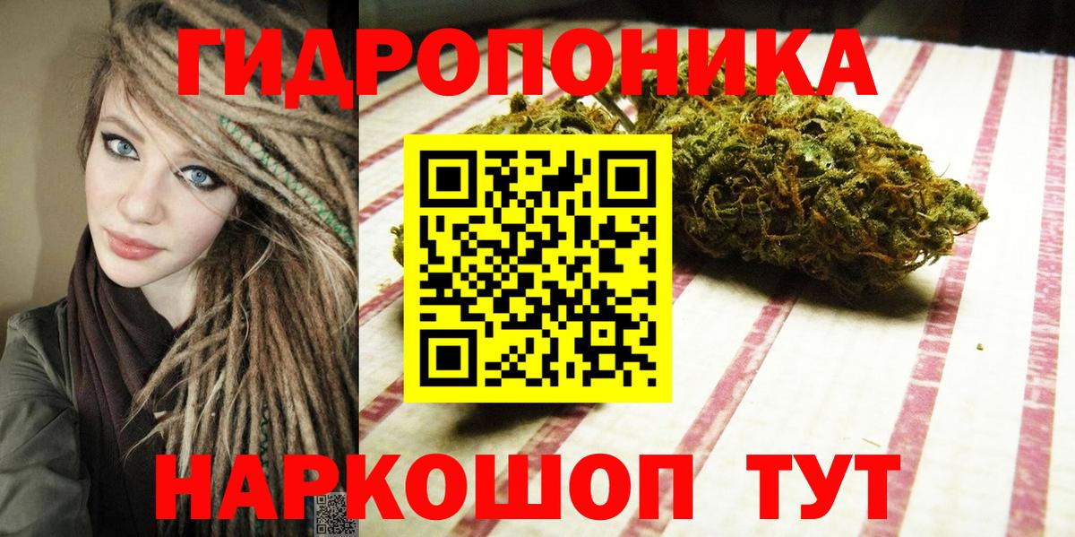 Бошки Шишки индика Саров